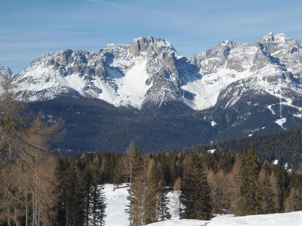 Appartamenti Patrizia San Pietro di Cadore Exterior photo