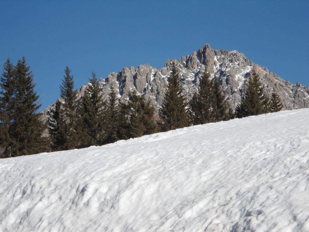 Appartamenti Patrizia San Pietro di Cadore Exterior photo